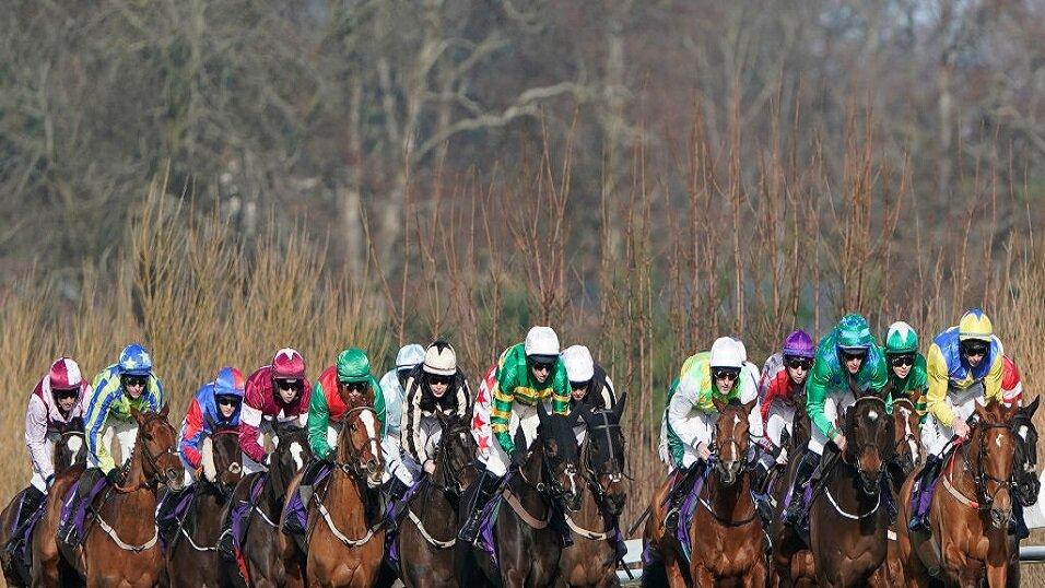 Horse racing at Leopardstown 